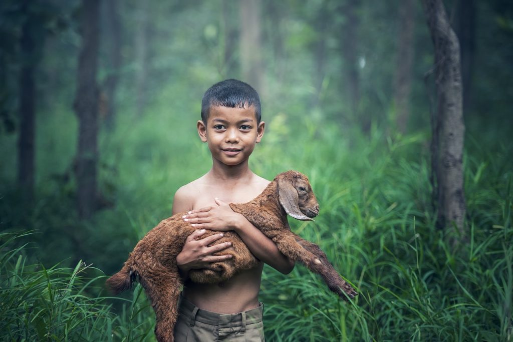 boys, outdoor, thailand-1807545.jpg